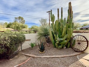 Overnattingsstedets uteområder