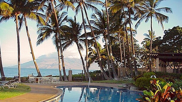 Zona de piscina con palmeras y vista al océano.