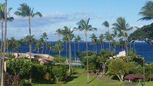 Un resort con piscina, palmeras y vistas al océano.
