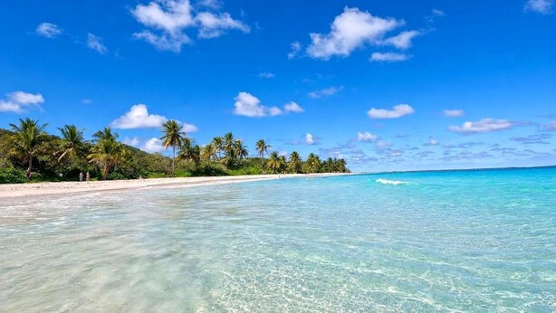 A beach with clear turquoise water, palm trees, and a sandy shore. - Resort Villa w/ Lake Views, Pool & Walk to Beach (Humacao)