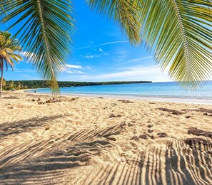 Una playa con agua azul cristalina, arena dorada y palmeras.