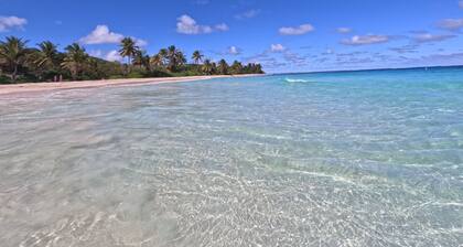 Acqualina Beach House, Propriétés Tortuga, 2 chambres / 2 salles de bain, prÚs de la plage