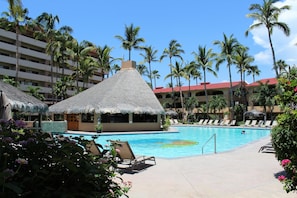 Piscine chauffée