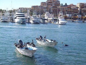 Boats docked in a tranquil coastal marina, surrounded by buildings.