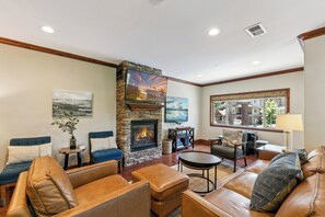 TV, fireplace, video games, DVD player