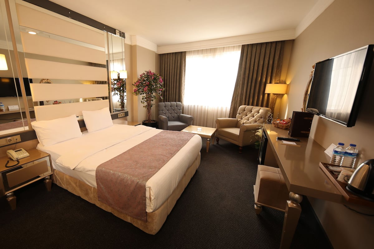 A hotel room with a large bed, a desk with a chair, a television, and a potted plant.