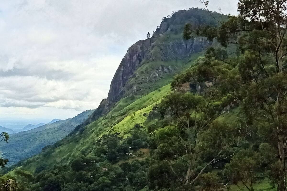 Mountain view