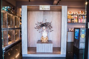 Entrada al alojamiento