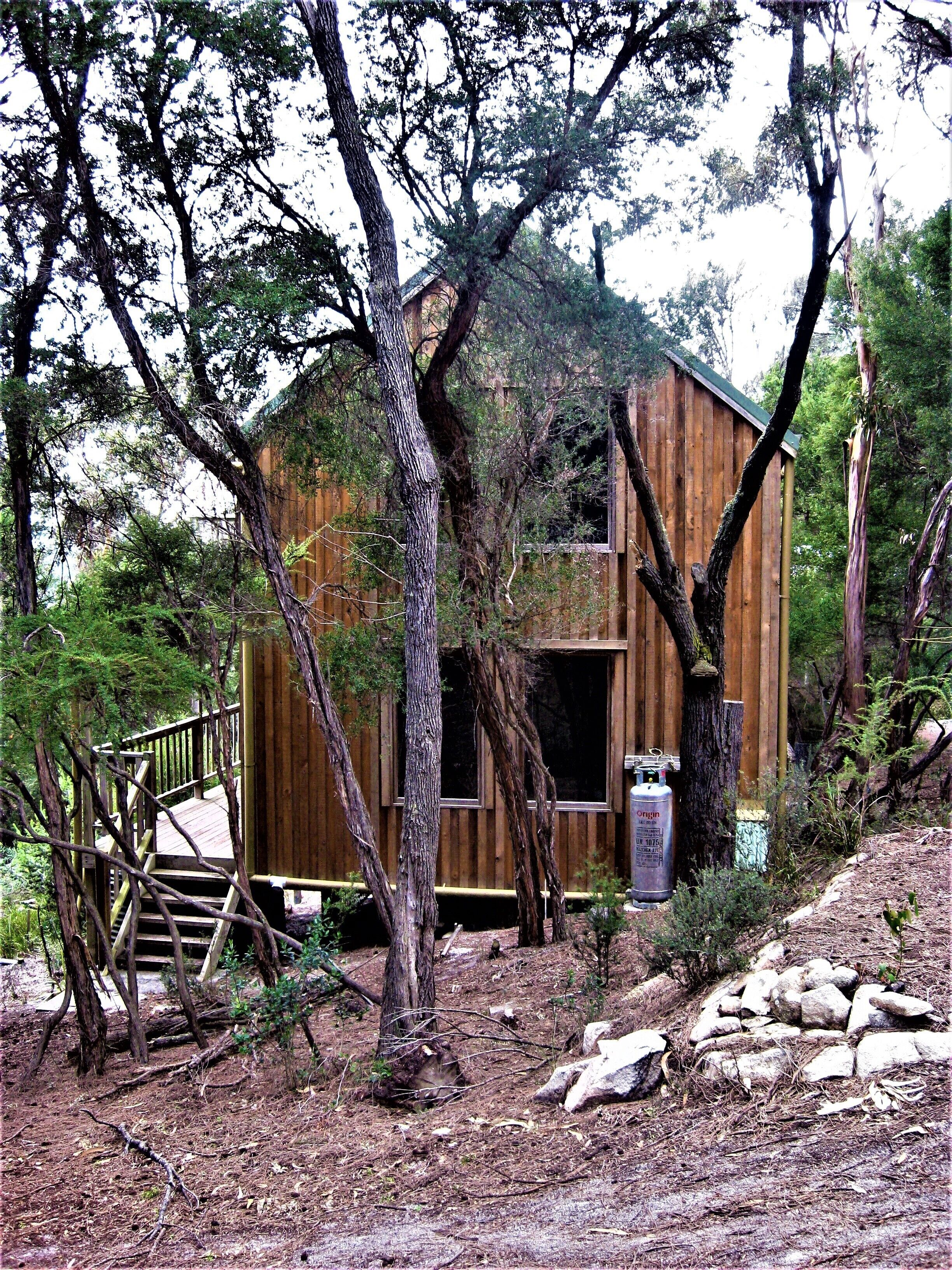Albie's cottage: Cute secluded timber home on a bush block by the sea