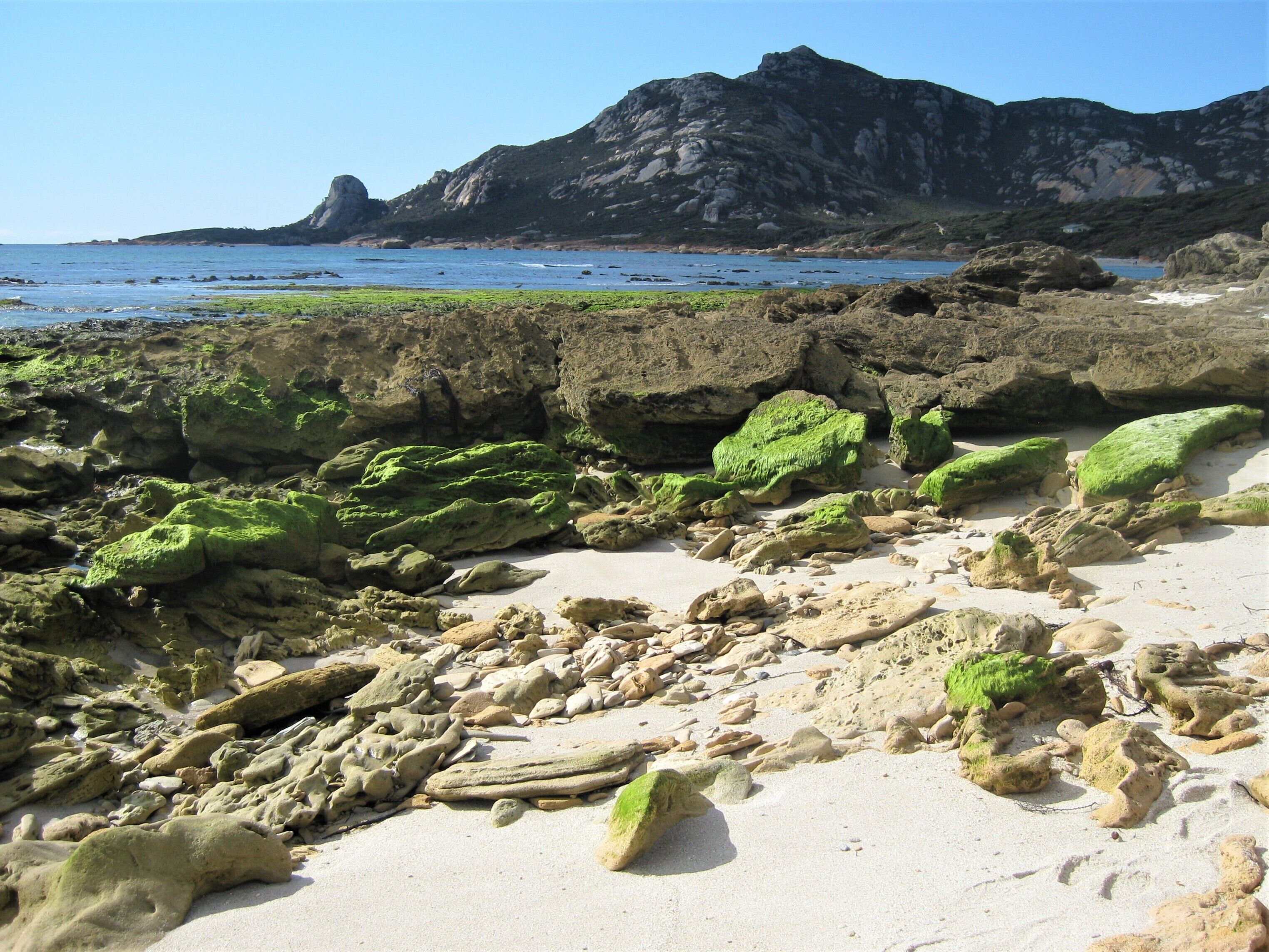 Chaises longues, serviettes de plage
