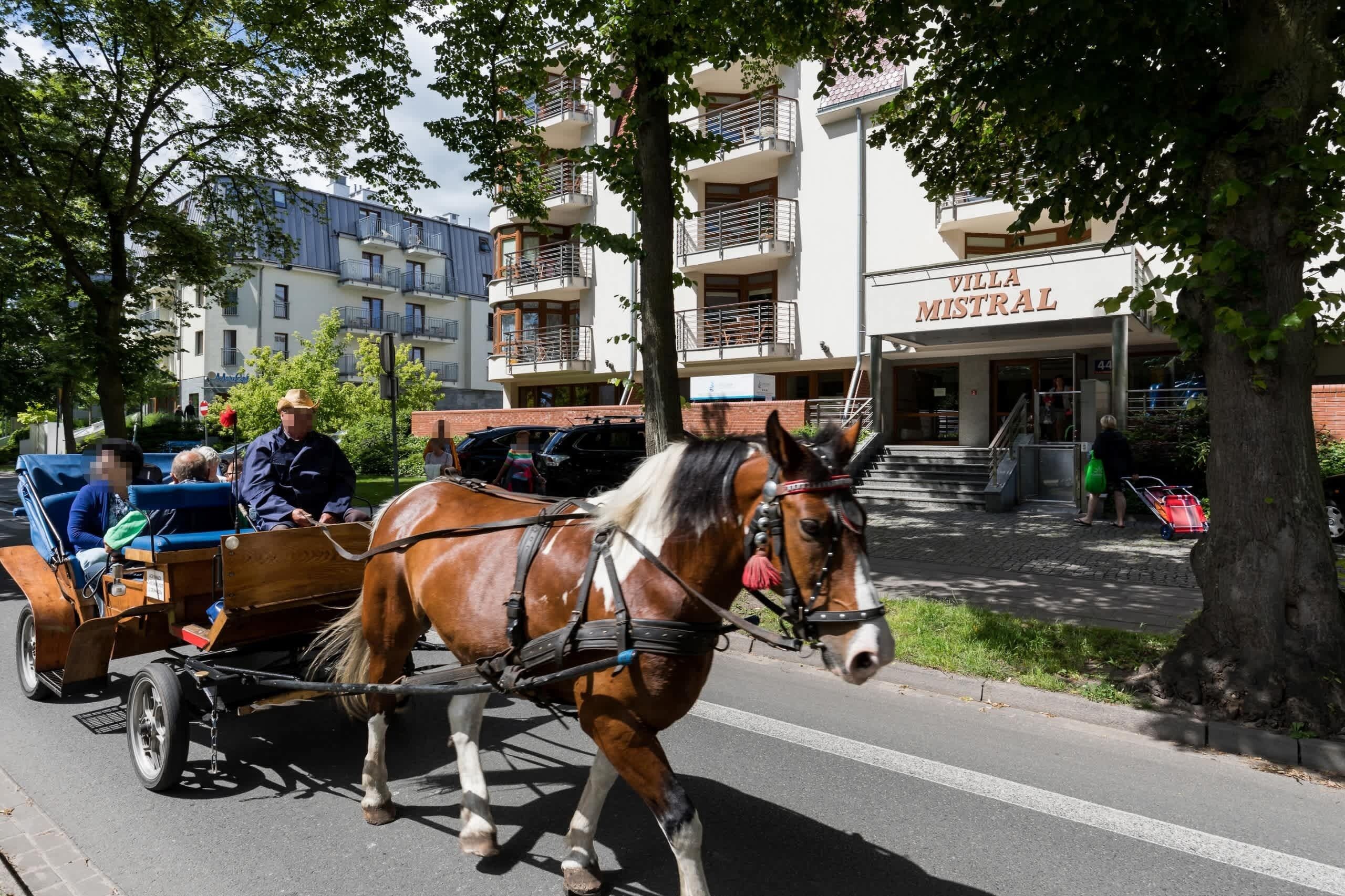 Una carrozza trainata da cavalli in una strada, con un edificio con la scritta 'VILLA MISTRAL' sullo sfondo.