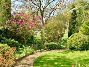 Garden - Laurels (Dunmow)