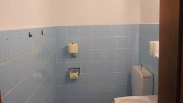 A bathroom with a toilet, sink, and blue-tiled walls.