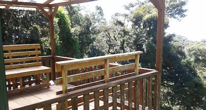 Naturalist's Cloud Forest Retreat