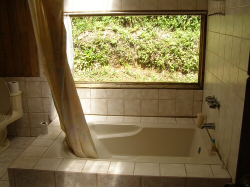 Naturalist's Cloud Forest Retreat