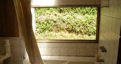 Naturalist's Cloud Forest Retreat