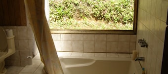Naturalist's Cloud Forest Retreat