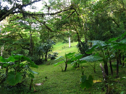 Naturalist's Cloud Forest Retreat