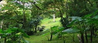 Naturforsker Cloud Forest Retreat