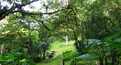 Naturalist's Cloud Forest Retreat