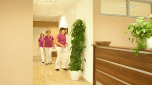 A reception area with a wooden reception desk, a potted plant, and a wall-mounted basket. - Hotel Dein Franz (Bad Fuessing)