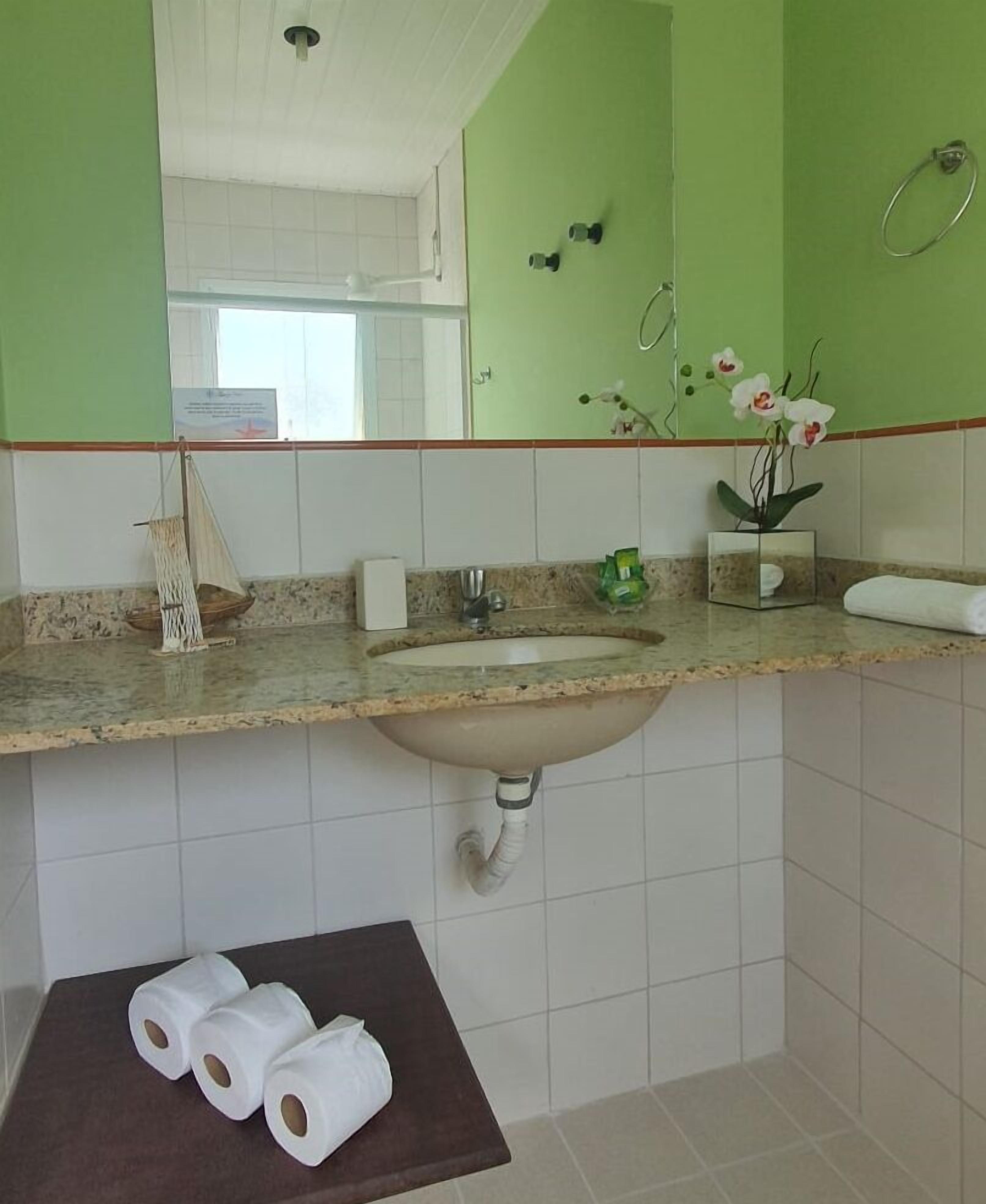 Casa de banho com lavatório, espelho, rolo de papel higiénico e uma planta decorativa.