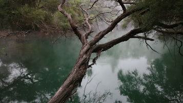 Alberca
