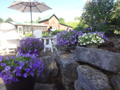 HAD ENOUGH OF WINTER?  TIME TO BOOK YOUR SUMMER VACATION. BOOK EARLY.