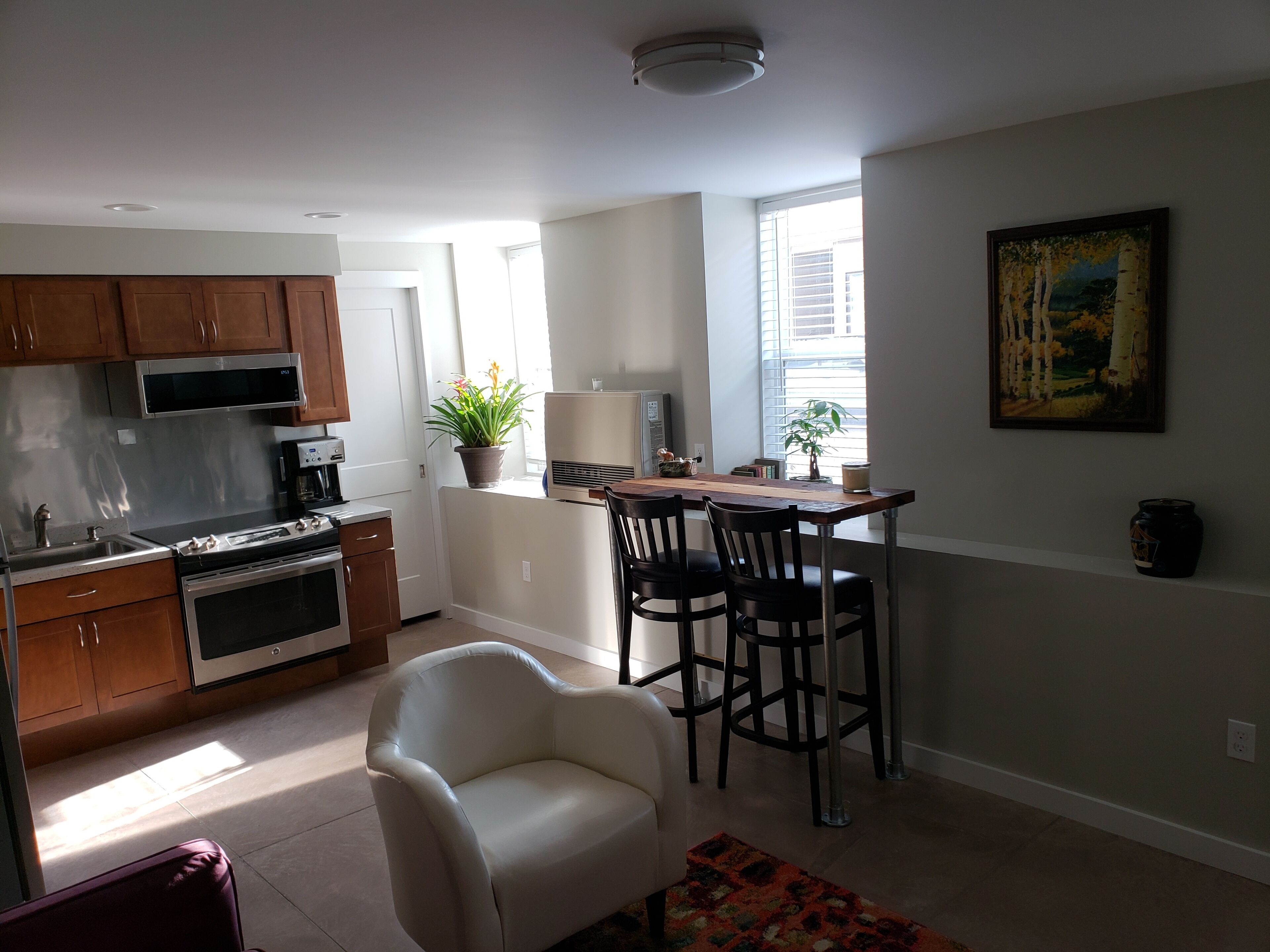 New, convenient downtown apartment