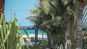 Un sendero bordeado de palmeras y plantas en macetas que conduce a una zona de piscina con vista al océano.