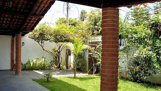 A covered patio area with brick columns, a paved walkway, and lush greenery including various plants and a palm tree.