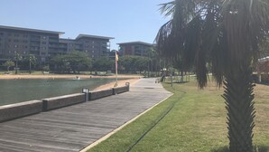 A wooden boardwalk beside a body of water, with a palm tree and a flagpole in the foreground. - Views of Darwin Harbor (Darwin City)