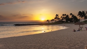 A beach scene with a sunset, palm trees, and people relaxing on the sand.
