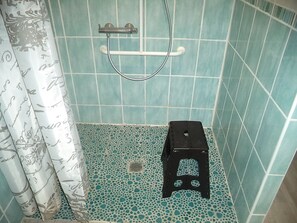 Shower, hair dryer, soap, toilet paper