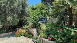 Um jardim com um cesto de basquete, muros de pedra e diversas plantas.
