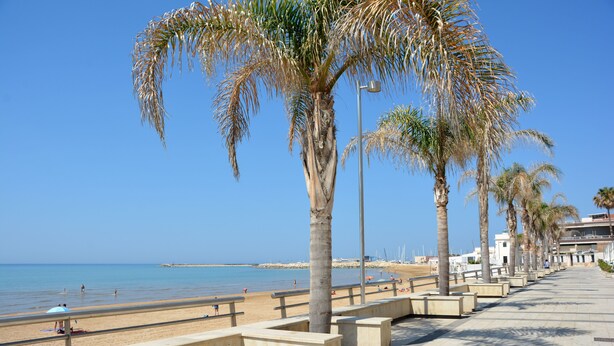 A seaside promenade with palm trees, a beach, and a clear sky. - Apartment 10 meters from the sea for 4 people in the center, free wi-fi (Marina di Ragusa)