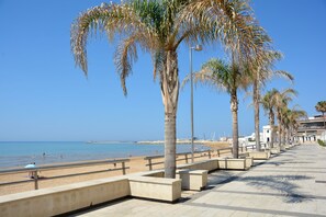 Un paseo marítimo con palmeras, una playa y cielo despejado.