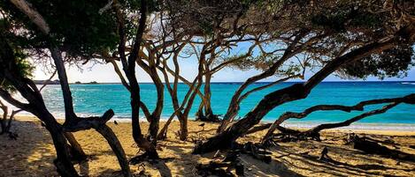 Beach nearby, sun loungers, beach towels