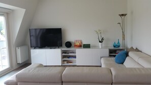 TV, books