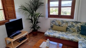 Un salon avec un téléviseur posé sur un meuble en bois, une plante en pot, un canapé à motifs tropicaux et une fenêtre donnant sur l’extérieur.