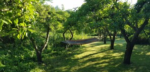 Área da propriedade