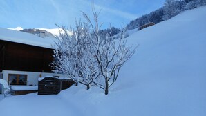 Schneebedeckte Landschaft mit einer Holzhütte und einem Baum im Vordergrund.