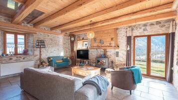 TV connectée, cheminée, lecteur de DVD, livres