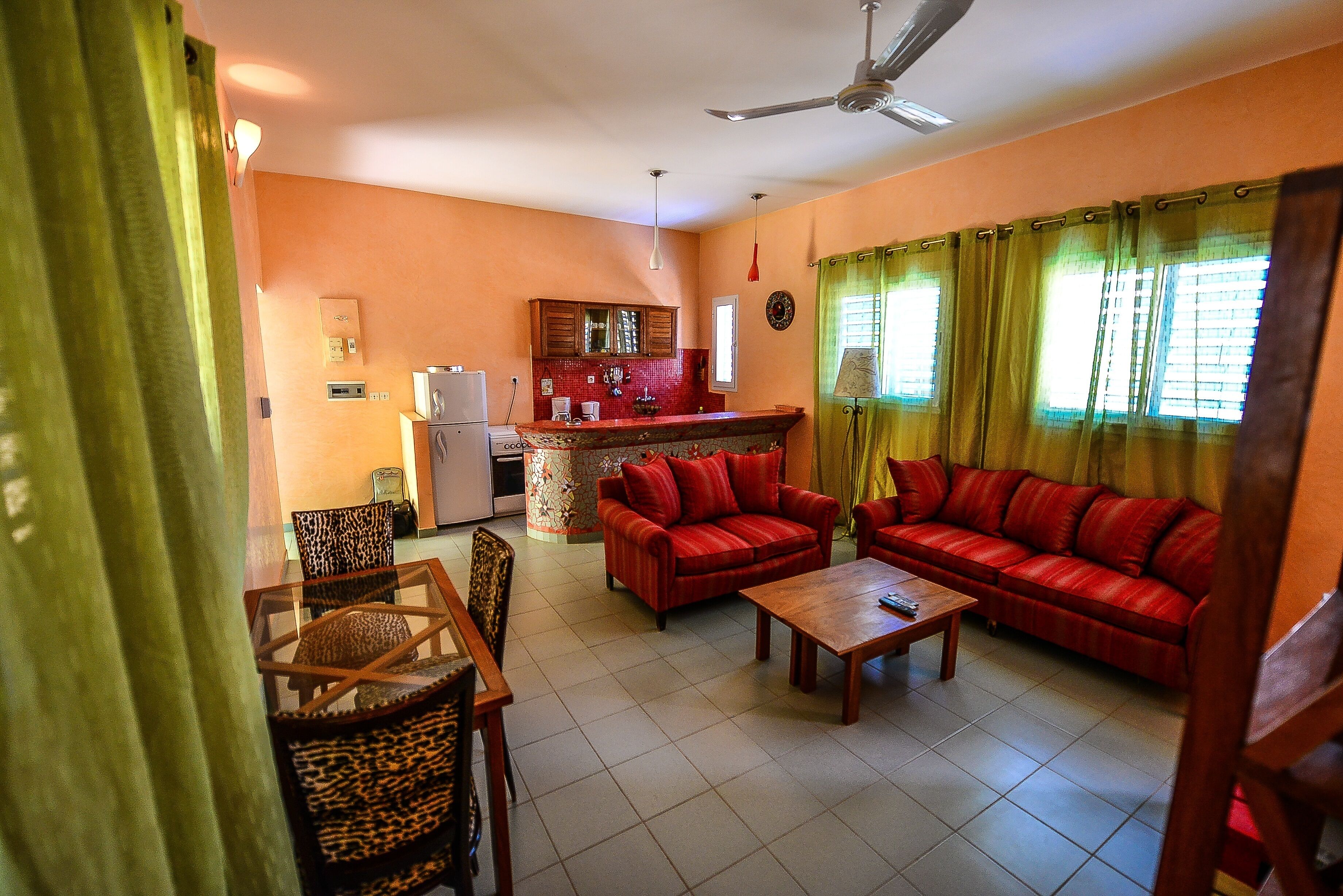 Appartement Salon/Coin repas/Cuisine 