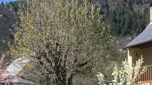 Een tuin met een grote boom, een klein huisje en een heuvel op de achtergrond.