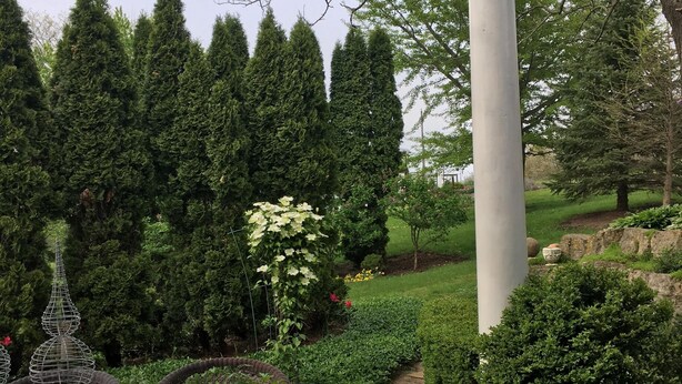 Ein überdachter Patio-Bereich mit Tisch und Stühlen, umgeben von ordentlich geschnittenen Hecken und hohen Nadelbäumen.