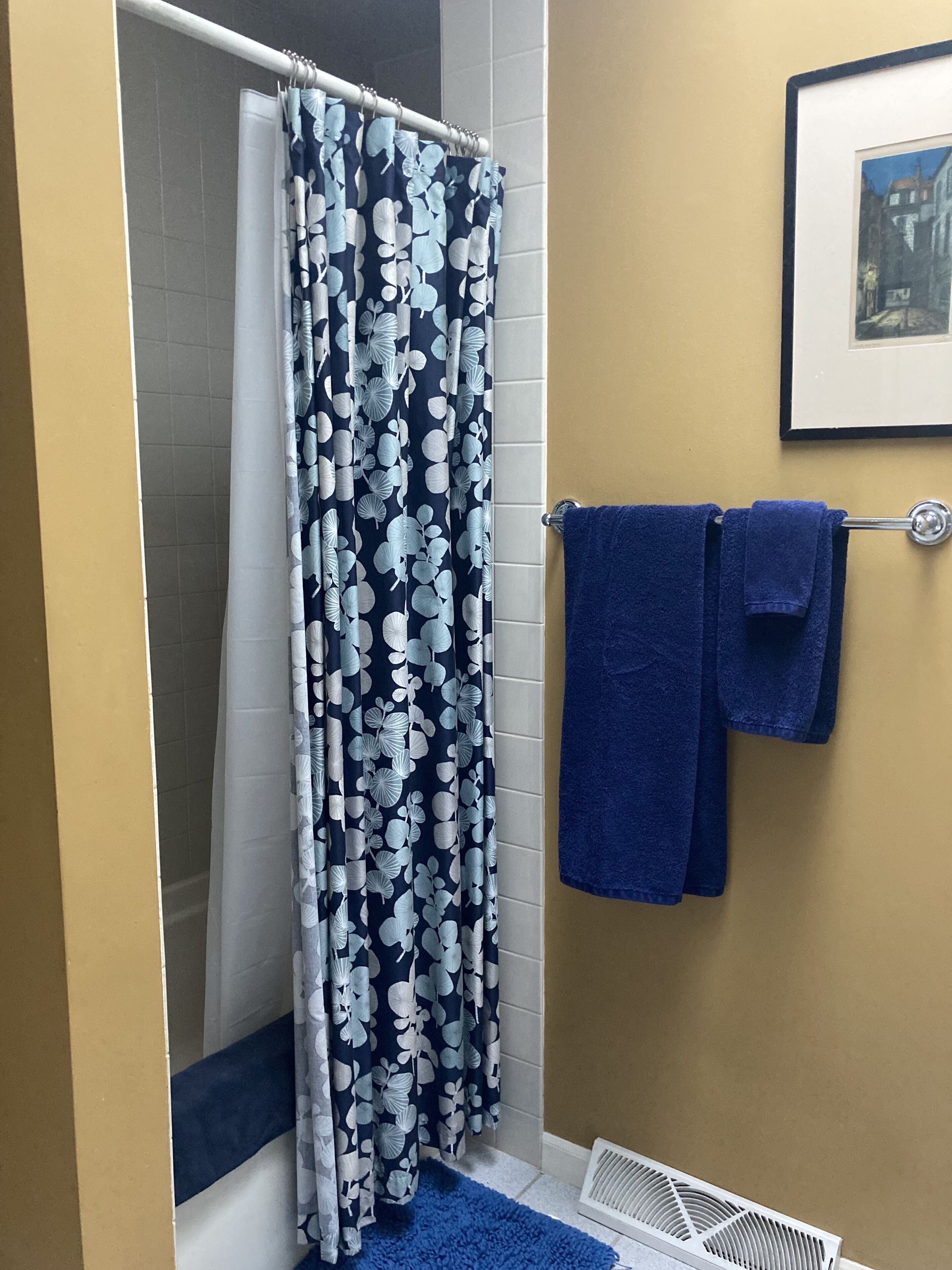 Une salle de bain avec un rideau de douche, un porte-serviettes avec deux serviettes et un tableau encadré au mur.