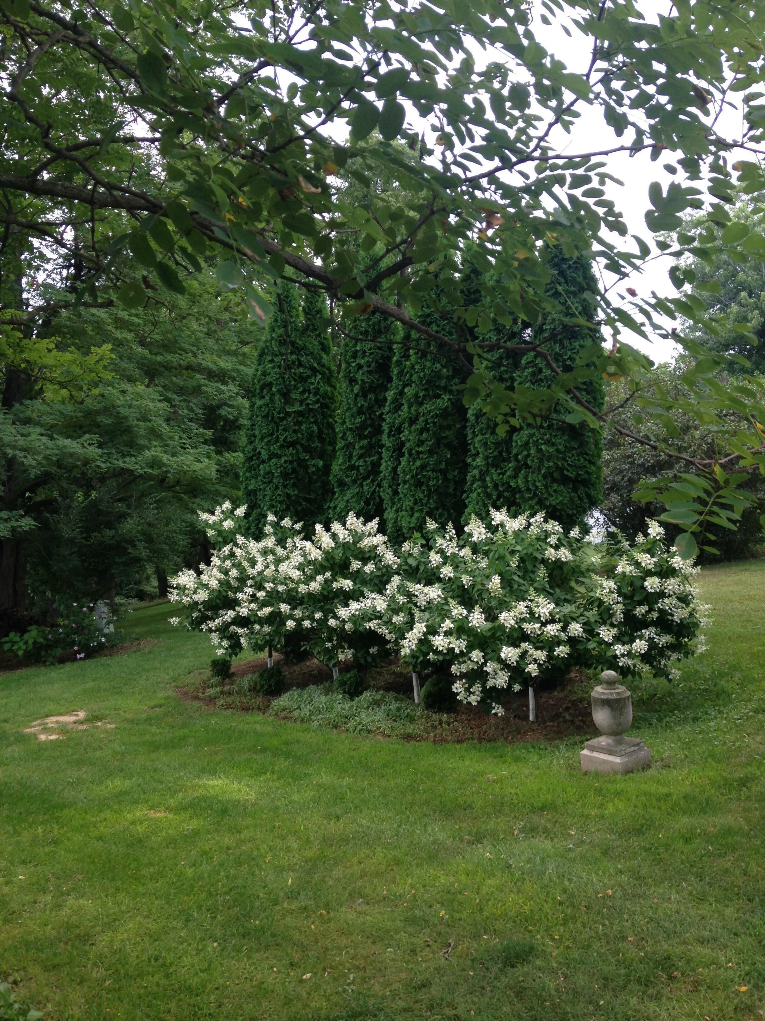 Áreas de la propiedad