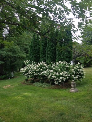 Overnatningsstedets område