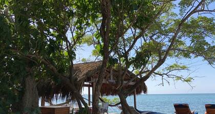 Isla Venado. Isla privada en Cholon, Cartagena.